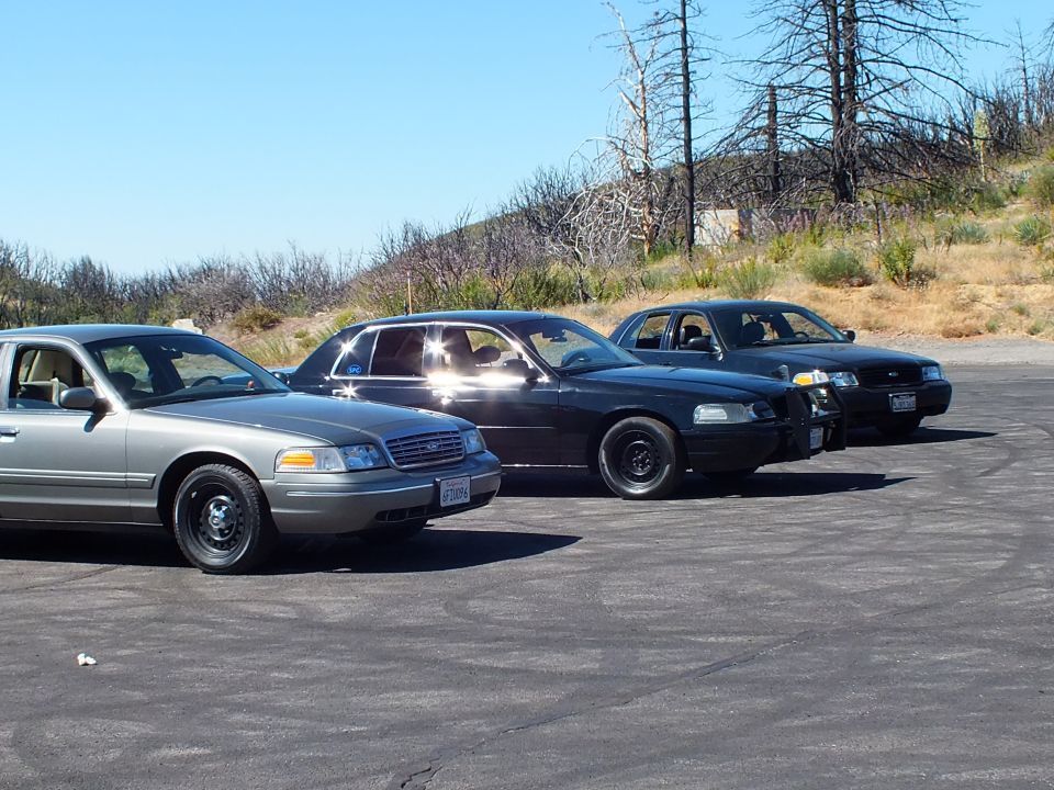 Silver and black Crown Victoria and Grand Marquis sedans angled on a sunlit lot