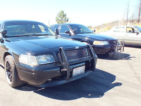 2003 Ford Crown Victoria - Blacked-out full-size sedan with push bumper parked beside others on a lot