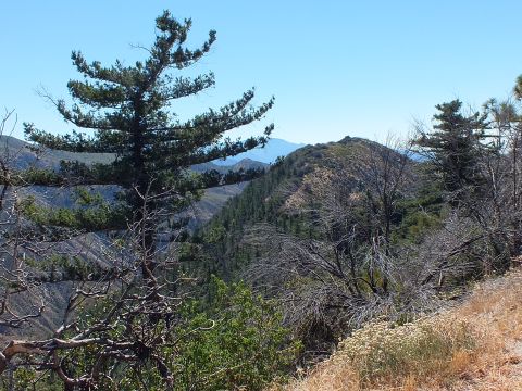 2003 Ford Crown Victoria - High overlook scene of green slopes, bare branches and layered mountain ridges