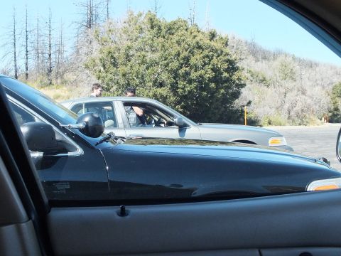 2003 Ford Crown Victoria - Silver Ford sedan and bystanders framed by an open car window with green trees behind