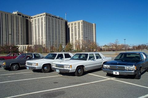1991 Ford LTD Crown Victoria - Several Ford Crown Victoria sedans are parked in a lot with a large building in the background.