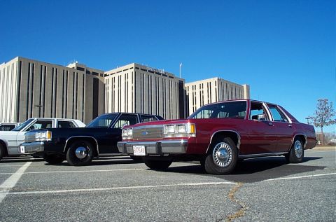 1991 Ford LTD Crown Victoria - A row of Ford Crown Victoria LTD sedans, including a red one in the foreground, are parked under a clear blue sky.