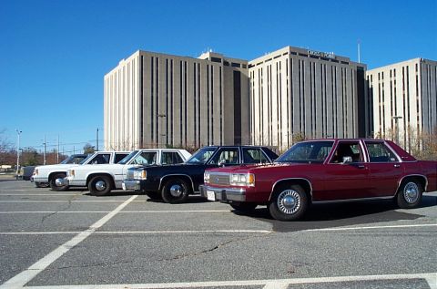1991 Ford LTD Crown Victoria - A row of Ford Crown Victoria sedans are parked in a lot with a large office building in the background.