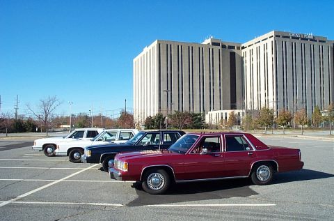 1991 Ford LTD Crown Victoria - A row of sedans, including a red one in the foreground, are parked in a lot with a large office building in the background.