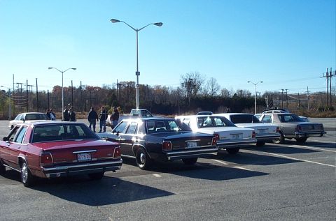 1991 Ford LTD Crown Victoria - A line of Ford Crown Victorias are parked in a lot under a bright blue sky.