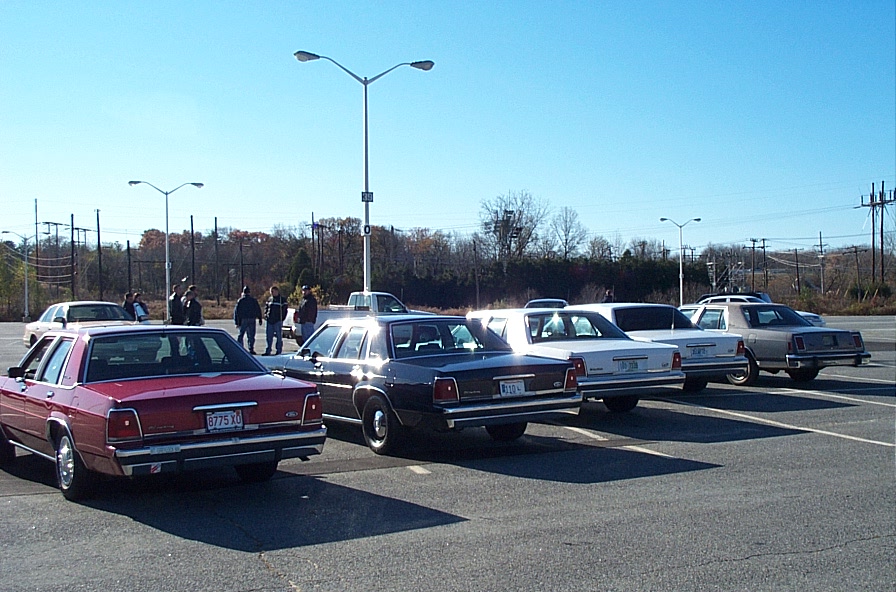 Several Ford Crown Victorias parked in a lot. The closest car is red, followed by dark and white sedans