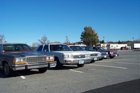 1991 Ford LTD Crown Victoria - Several Ford Crown Victorias are lined up in a parking lot under a clear blue sky.