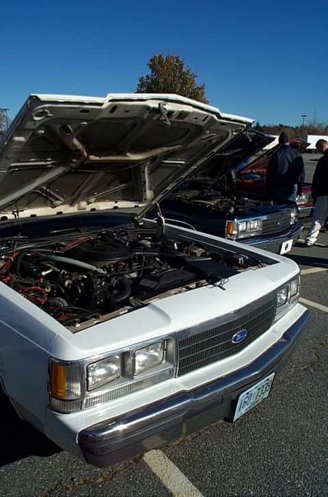 1991 Ford LTD Crown Victoria - Two Ford Crown Victorias are parked with their hoods open, revealing their engines under a clear blue sky.