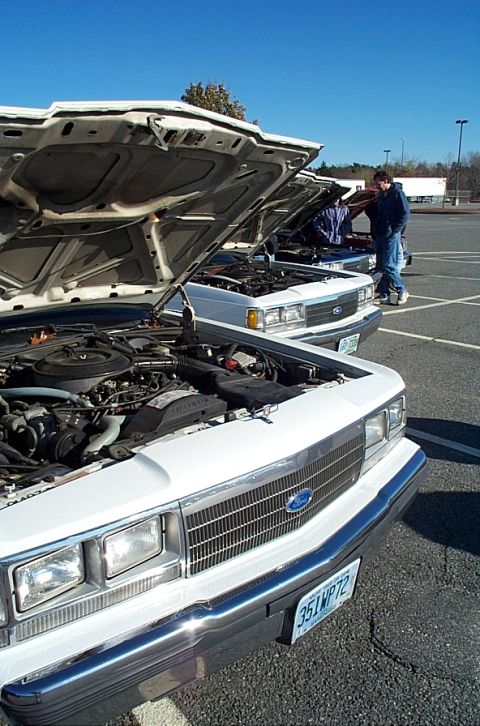 1991 Ford LTD Crown Victoria - Several white Ford Crown Victorias are parked with their hoods open, revealing their engines under a clear blue sky.