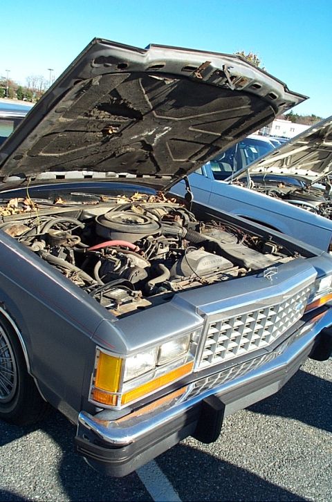 1991 Ford LTD Crown Victoria - The engine bay of a gray 1991 Ford Crown Victoria LTD is visible with the hood open, parked outdoors.