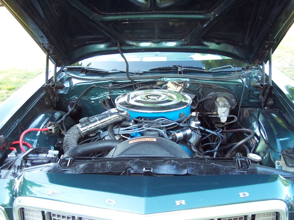 Ford blue V8 with chrome air cleaner in green Ford engine bay, hood up