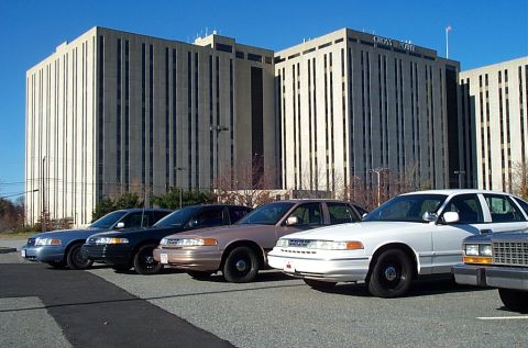 1991 Ford LTD Crown Victoria - A line of Ford Crown Victoria sedans are parked in front of a modern office building under a clear blue sky.