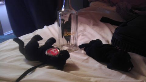 2000 Mercury Grand Marquis - Two stuffed panthers and an empty American Honey bottle are on a bed.