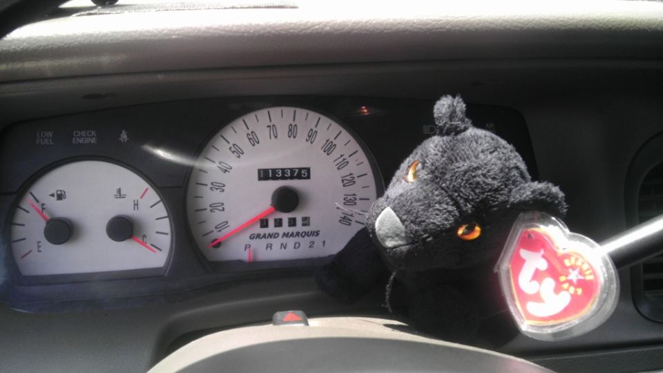 Dashboard of a 2000 Mercury Grand Marquis showing speedometer, fuel gauge, and a stuffed panther toy