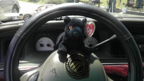 2000 Mercury Grand Marquis - A plush panther toy is placed on the steering wheel of a Mercury Grand Marquis, with the vehicle's badge visible.