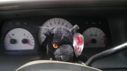 2000 Mercury Grand Marquis - A plush toy sits on the dashboard of a 2000 Mercury Grand Marquis.