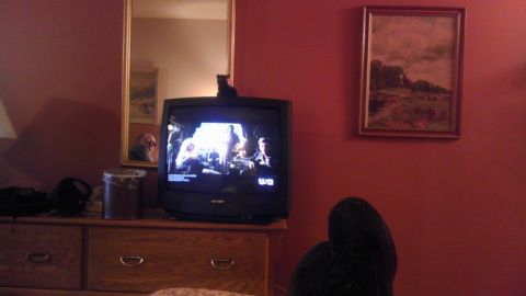 2000 Mercury Grand Marquis - A television is on, displaying a scene with people, and a cat is perched on top of the television.