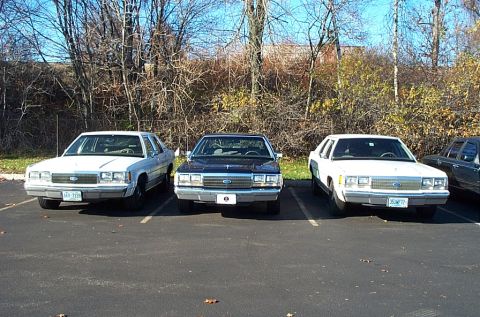1991 Ford LTD Crown Victoria - Three Ford Crown Victoria LTD sedans are parked in a lot, showing their front ends.