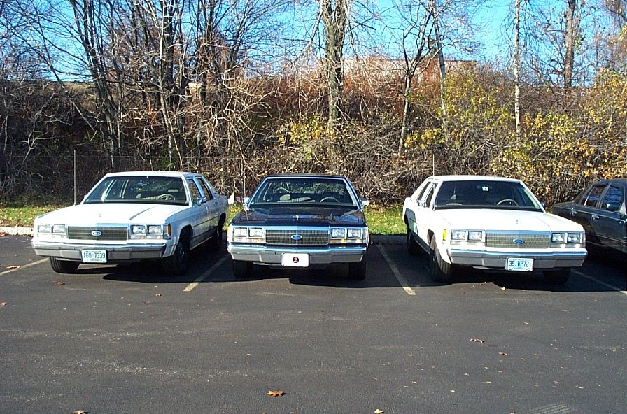 Three 1991 Ford Crown Victoria LTD sedans parked in a lot, two white and one dark blue, front view