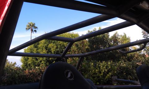 1978 Ford Bronco - Interior view of a vehicle's roll cage with a view of trees and sky.