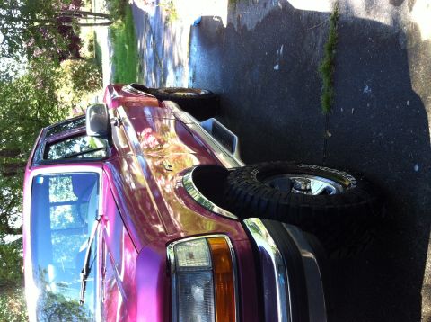 1992 Ford F-150 - Random shot.
