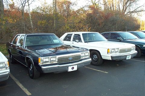 1991 Ford LTD Crown Victoria - Two Ford Crown Victorias, one dark blue and one white, are parked side-by-side in a lot.