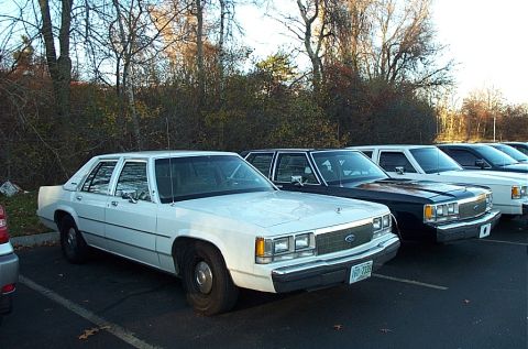 1991 Ford LTD Crown Victoria - A row of sedans are parked in an outdoor lot, with the closest vehicle being a white Ford Crown Victoria.