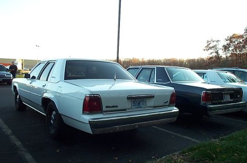 1991 Ford LTD Crown Victoria - A row of sedans parked in a lot, with the rear of a white 1991 Ford Crown Victoria LTD prominent.