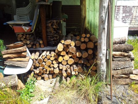 1986 Ford Bronco - A large quantity of firewood is neatly stacked in front of a weathered green structure.