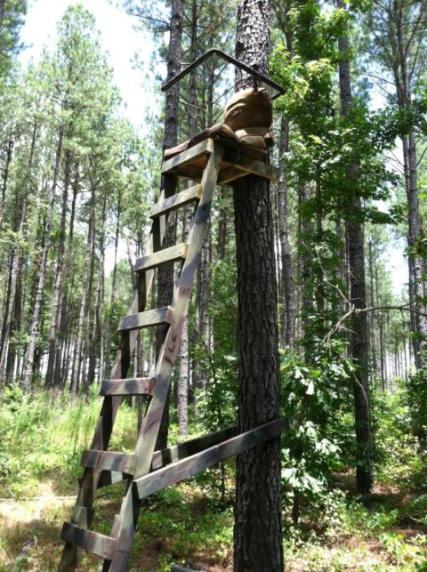 1986 Ford Bronco - A hunting blind is mounted on a tree in a wooded area, a ladder for access.