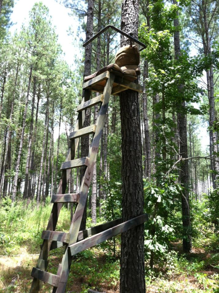 Wooden hunting blind with ladder attached to a tree in a forest