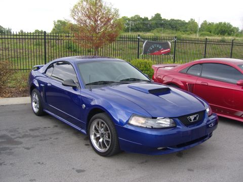2007 Ford Mustang - Two Ford Mustangs, one blue and one red, parked side-by-side outdoors.