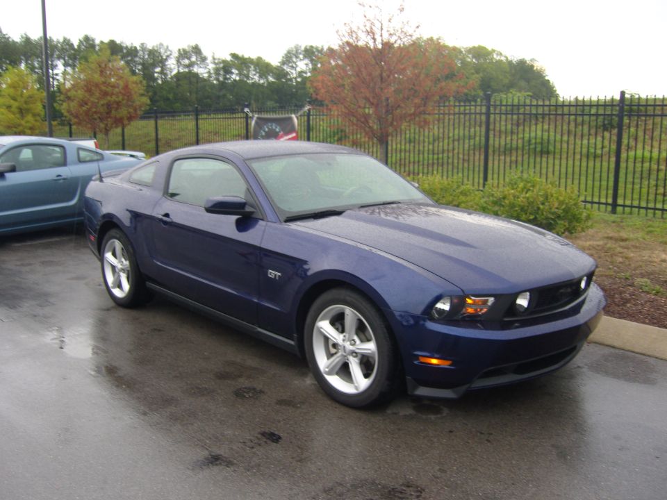 Blue Ford Mustang GT coupe parked on wet asphalt, with a black fence and trees in the background