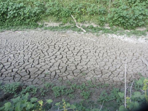 1968 Ford Mustang - The ground is extremely dry and cracked, with sparse vegetation along the banks.