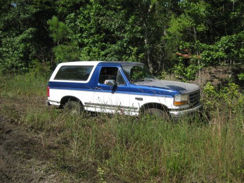 1994 Ford Bronco - A two-tone Ford Bronco is partially obscured by overgrown vegetation and mud.