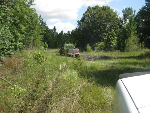 1994 Ford Bronco - An older pickup truck navigates a grassy, wooded area off the beaten path.