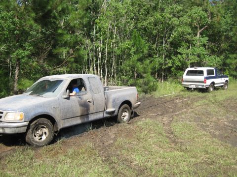 1994 Ford Bronco - A blue Ford F-150 tows a white and blue Ford Bronco through a muddy, wooded area.