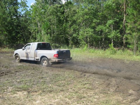 1994 Ford Bronco - Silver Ford F-150 pickup truck navigating a muddy terrain with trees in the background.