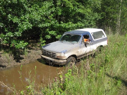 1994 Ford Bronco - This Ford Bronco appears to be stuck in a muddy trail surrounded by dense foliage.