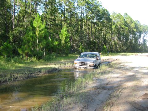 1994 Ford Bronco - A gray Ford Bronco navigates a muddy, water-filled path through a wooded area.