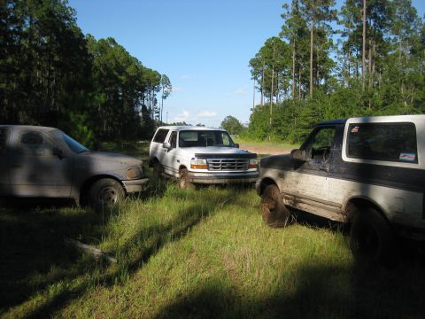 1994 Ford Bronco - Three SUVs, including a 1994 Ford Bronco, are parked in a grassy, wooded area on a sunny day.