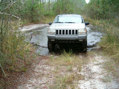 1991 Ford Bronco - This Jeep Grand Cherokee navigates a water-filled path surrounded by trees and undergrowth.