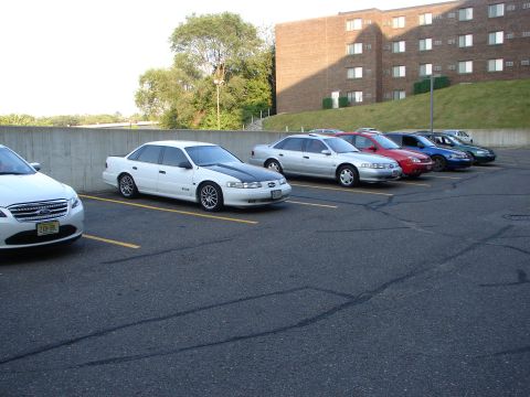1992 Ford Taurus - A white 1992 Ford Taurus with a contrasting black hood is parked in a lot with several other vehicles.