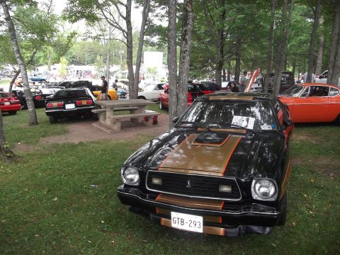 1978 Ford Mustang II - A black 1978 Ford Mustang II with gold racing stripes is displayed at a car show event.