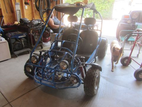 1968 Ford Mustang - A blue go-kart sits in a garage, with a dog walking past it.