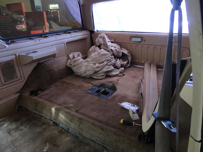 1981 Ford Bronco “Buck”