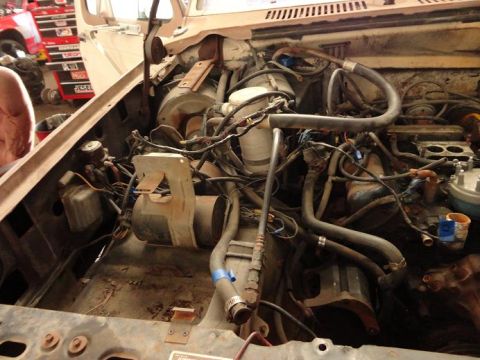 1981 Ford Bronco photo