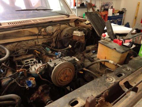 1981 Ford Bronco photo