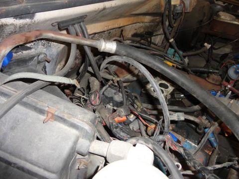 1981 Ford Bronco photo