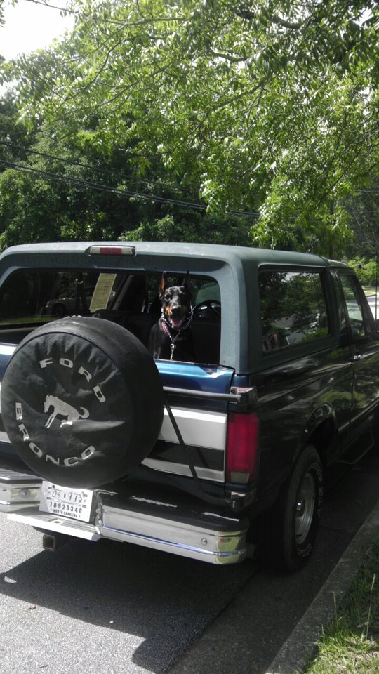 1994 Ford Bronco